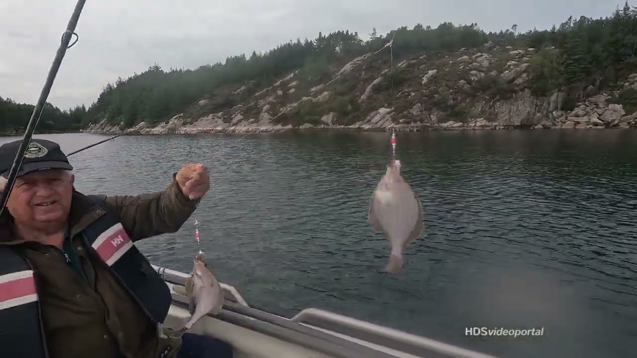 Plattfisch am Fjord