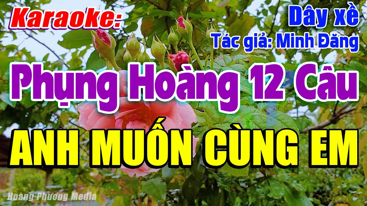 Karaoke Phụng Hoàng 12 câu Anh Muốn Cùng Em (Dây xề) | Beat Mùi và Hay Lắm Luôn – Hoàng Phương Media