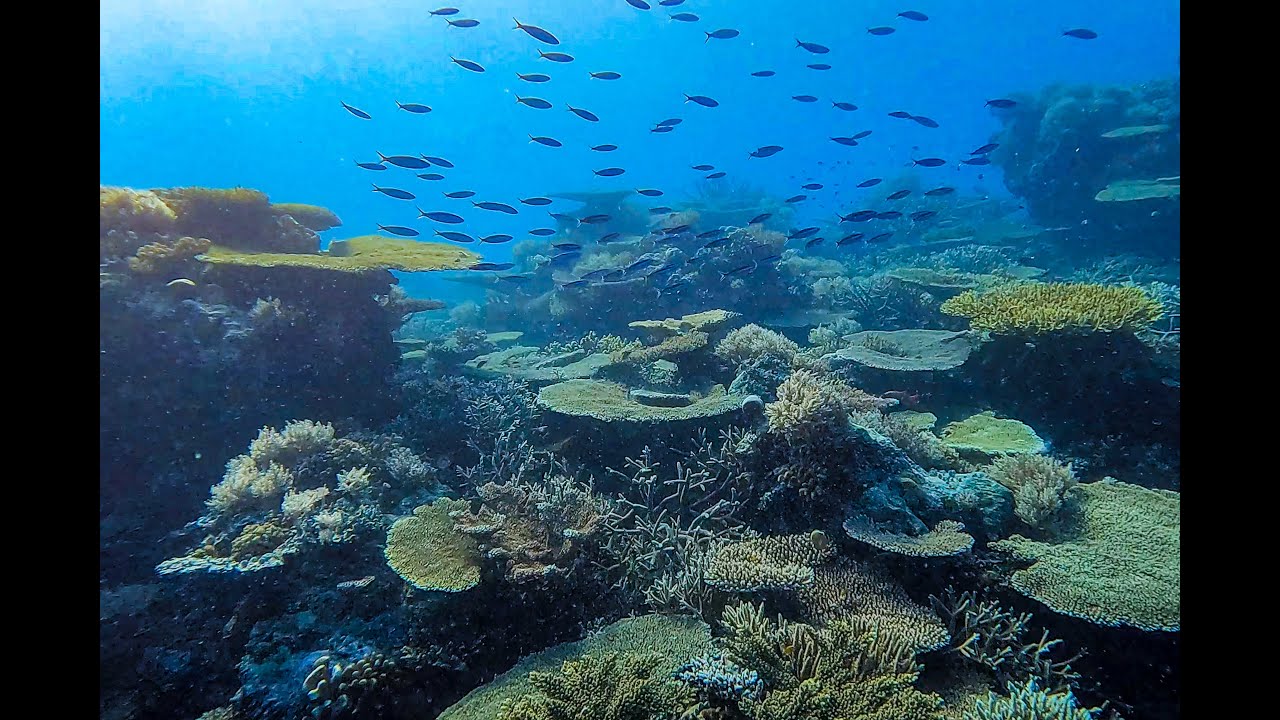 Palau 2023
