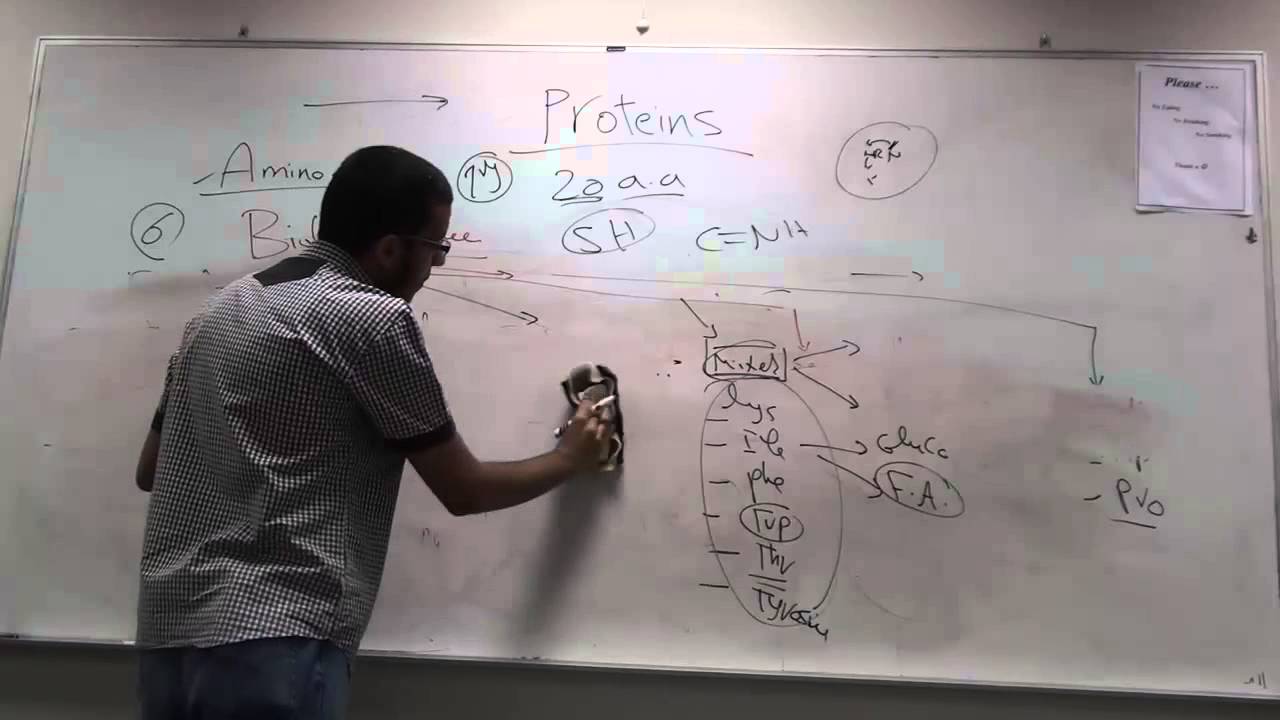 Proteins Chemistry By AbdelRahman Assal