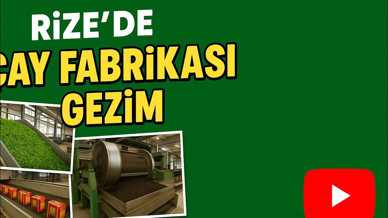 Rize’de Çayın Kalbine Yolculuk 🌿- Rize’de Çay Fabrikasını Gezdim 🫠