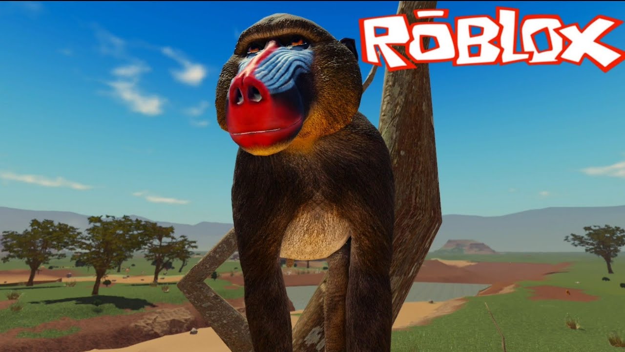NEM O ELEFANTE AGUENTA O MACACO MANDRIL e a GANG DOS BABUÍNOS ! SAVANNAH LIFE da ROBLOX #roblox