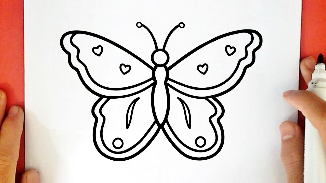 How to draw a BUTTERFLY