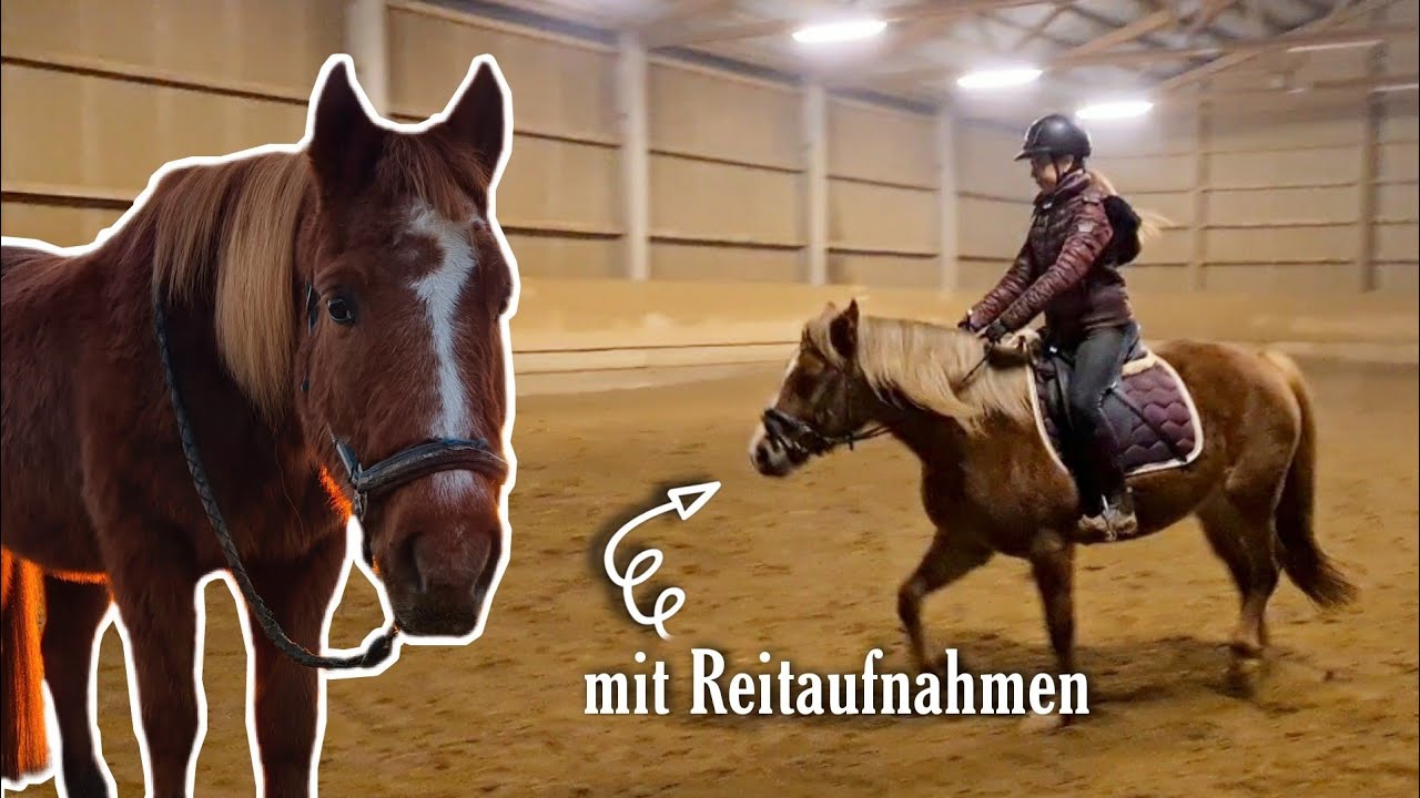 ONE DAY WITH ME | Reitstunde mit Minza & Spaziergang mit Tiggi