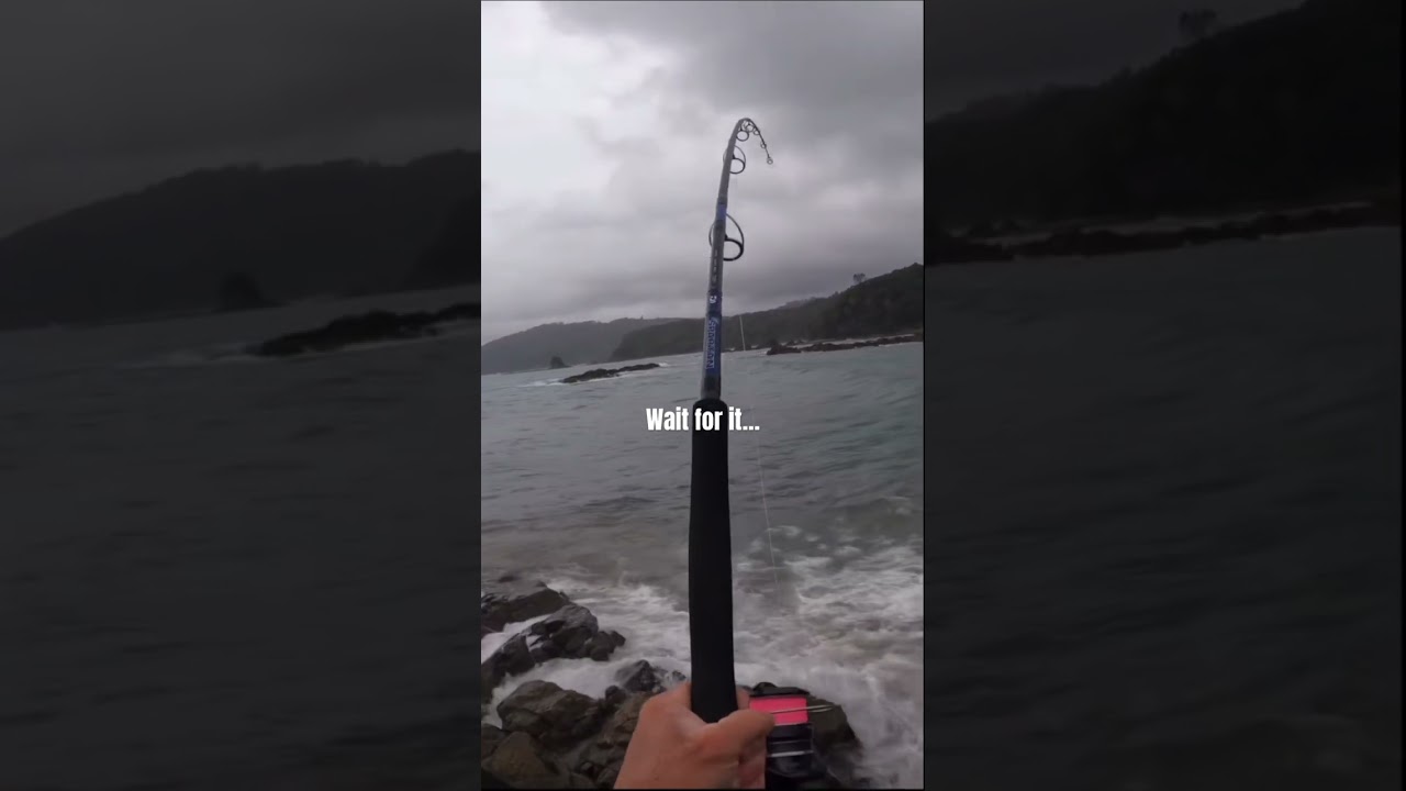Wait for it… 😳 awesome catch off the rocks