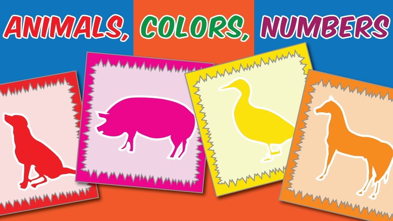 Animals, Colors and Numbers | Video Flash Cards | English for Children | Fun Kids Videos