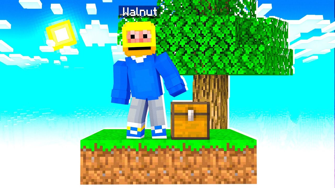 Ik Moet Overleven Op Een Vliegend Eiland In Minecraft (Survival)