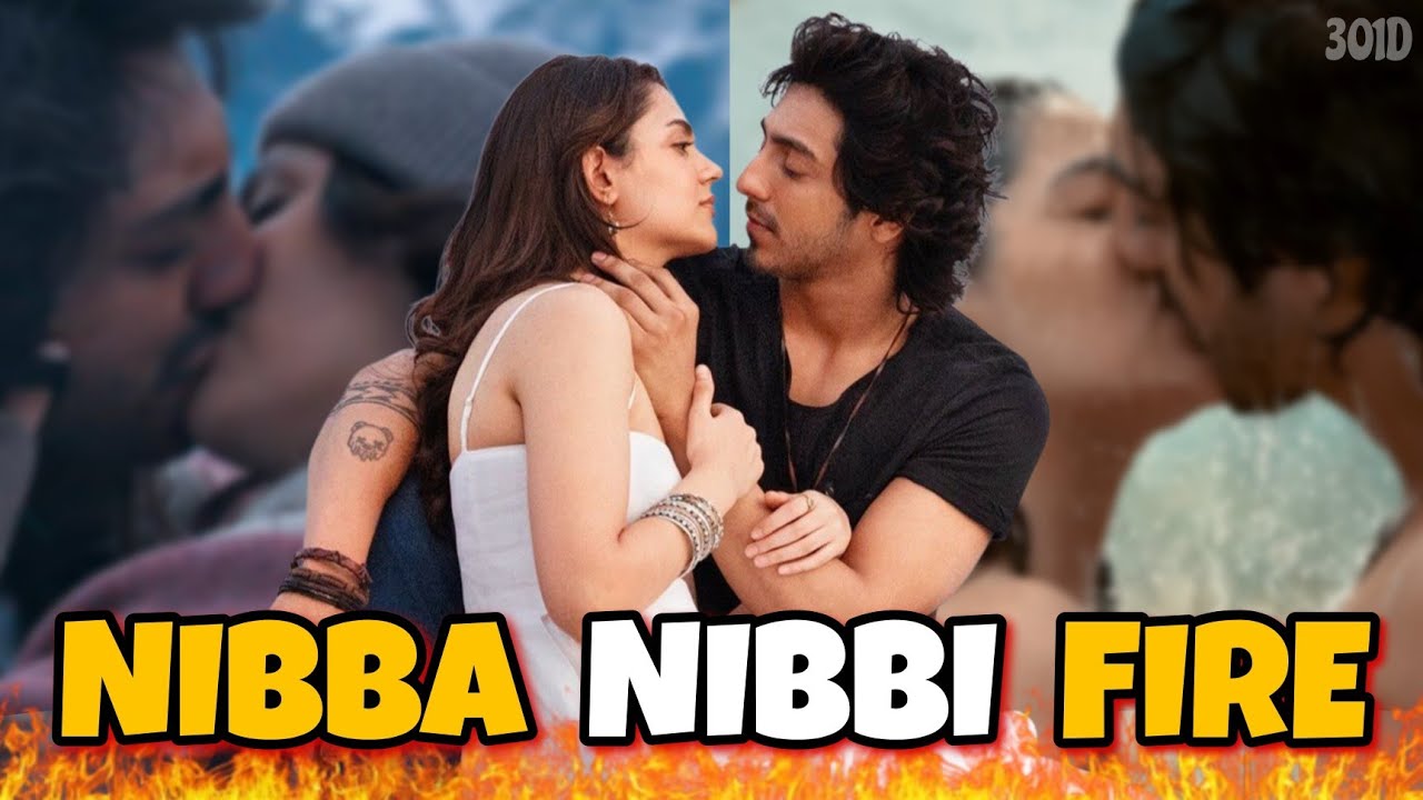 NIBBA NIBBI ON FIRE🔥 || ft. Saiyaara || Nikhil || 301 Diaries