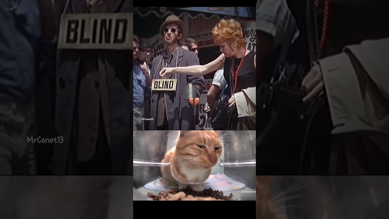 bro use the ultra instinct 🗿😂#cat #funny #explore #memes #bombastic #viralvideo #shorts