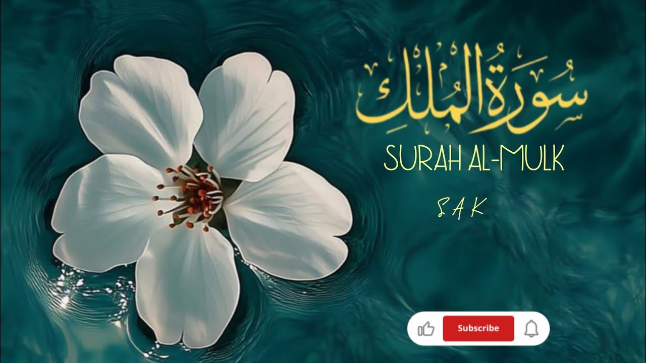 Surah Al-Mulk | Beautiful Quran Recitation | Peaceful Tilawat #quranrecitation #quran #youtube 