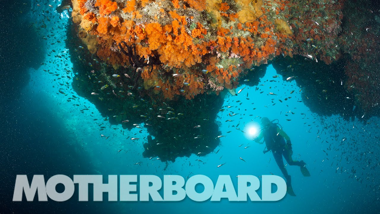 The Search for New Antibiotics Under the Sea