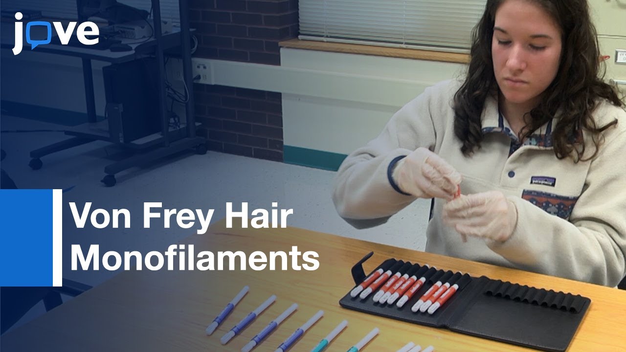 Midline Lingual Point-Pressure Somatosensation: Von Frey Hair Monofilaments l Protocol Preview