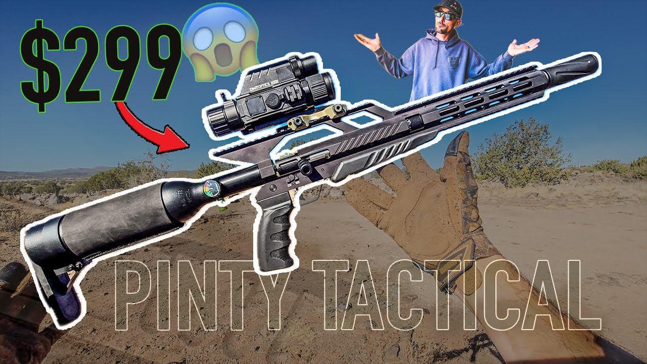 Shockingly CHEAP Airgun! the PINTY .22 cal PCP