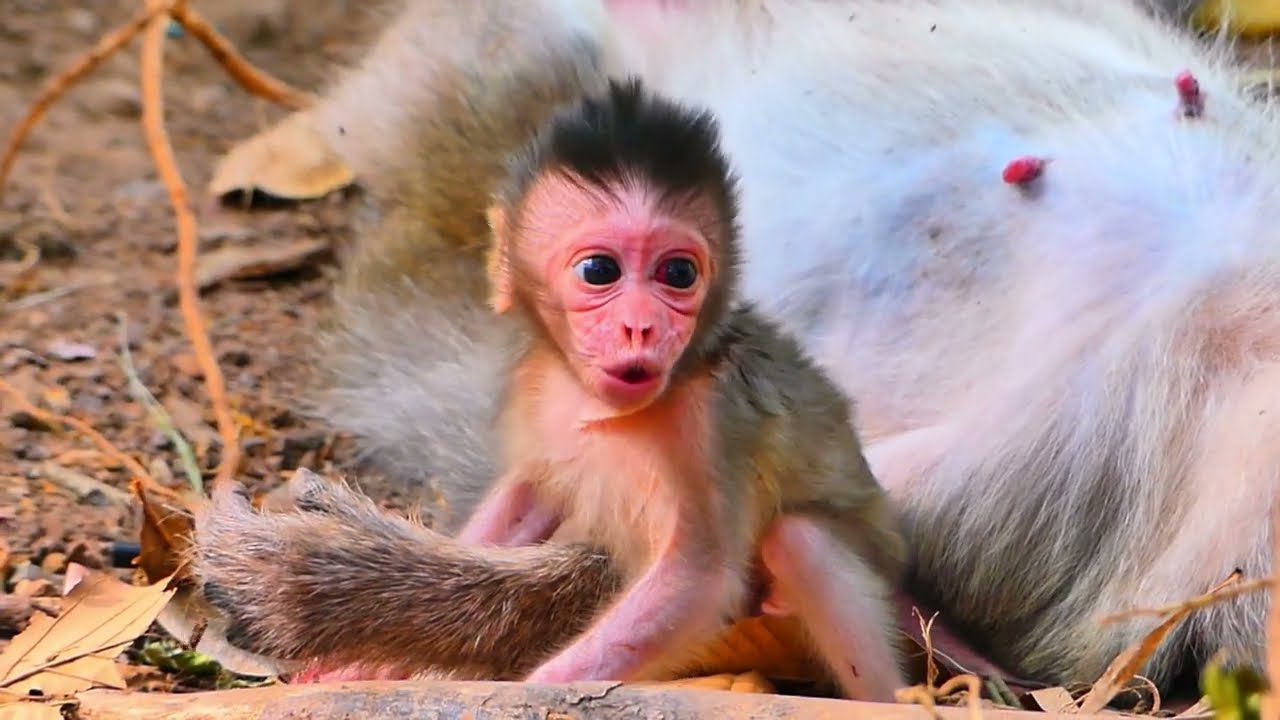 baby Mother ...! Cute Baby