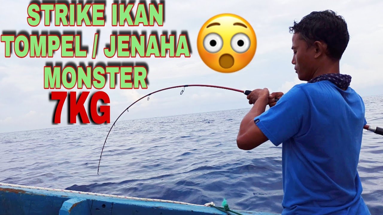 #VIRAL || KAPTEN STRIKEE IKAN TOMPEL / JENAHA MONSTER 7KG || JIGGING SPOON 55GRAM