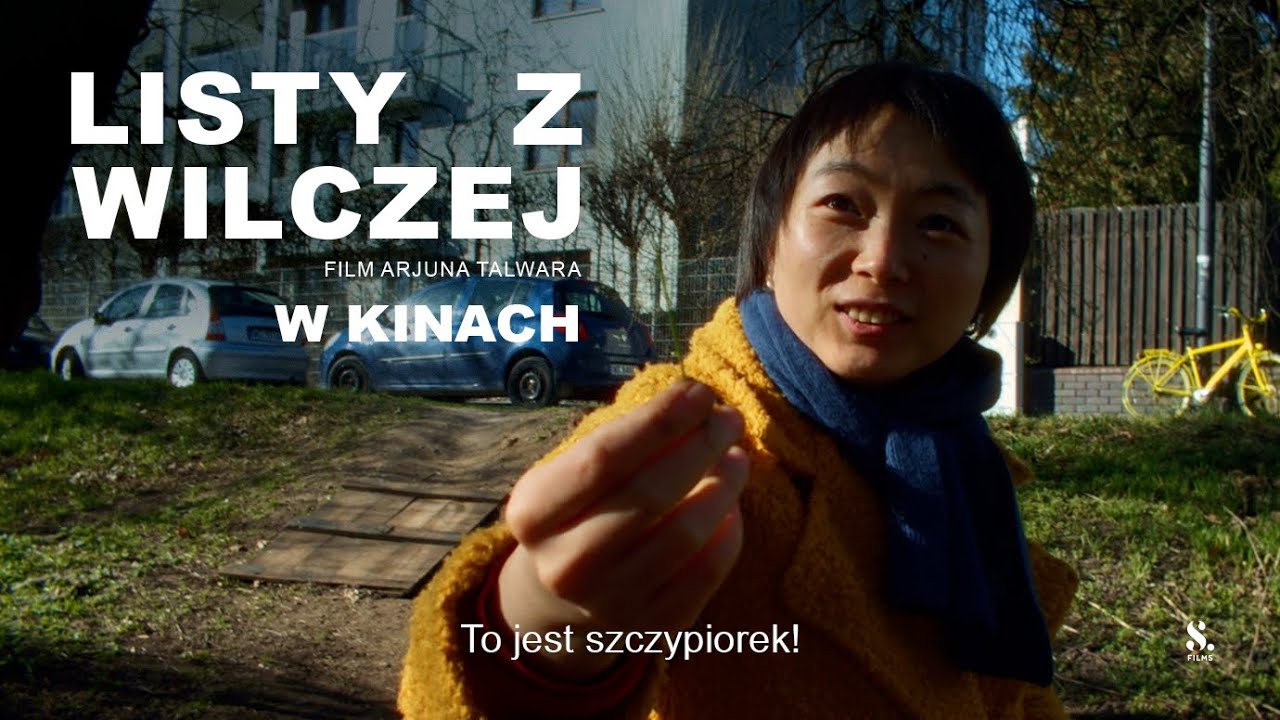 LISTY Z WILCZEJ (2025) | spot: SZCZYPIOREK | 30s | w kinach