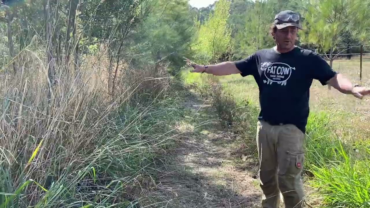 Swale Season Maintenance - Ready for Winter Rain Harvest.