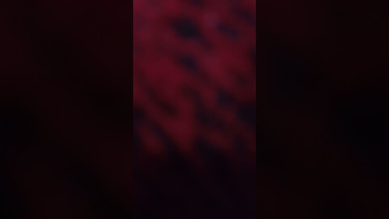 محمدعبيد الرشيدي