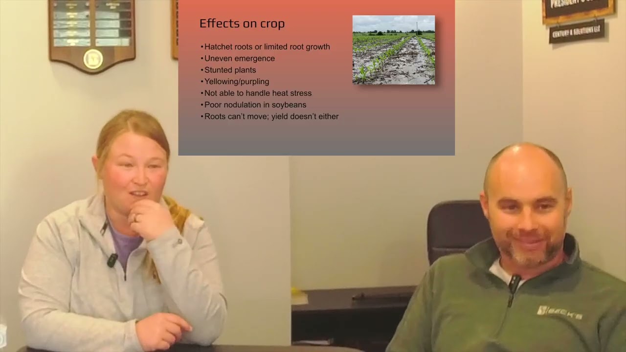 Soil Compaction's impact on Crop Nutrition & Health | Roots don't move, yield doesn't move!
