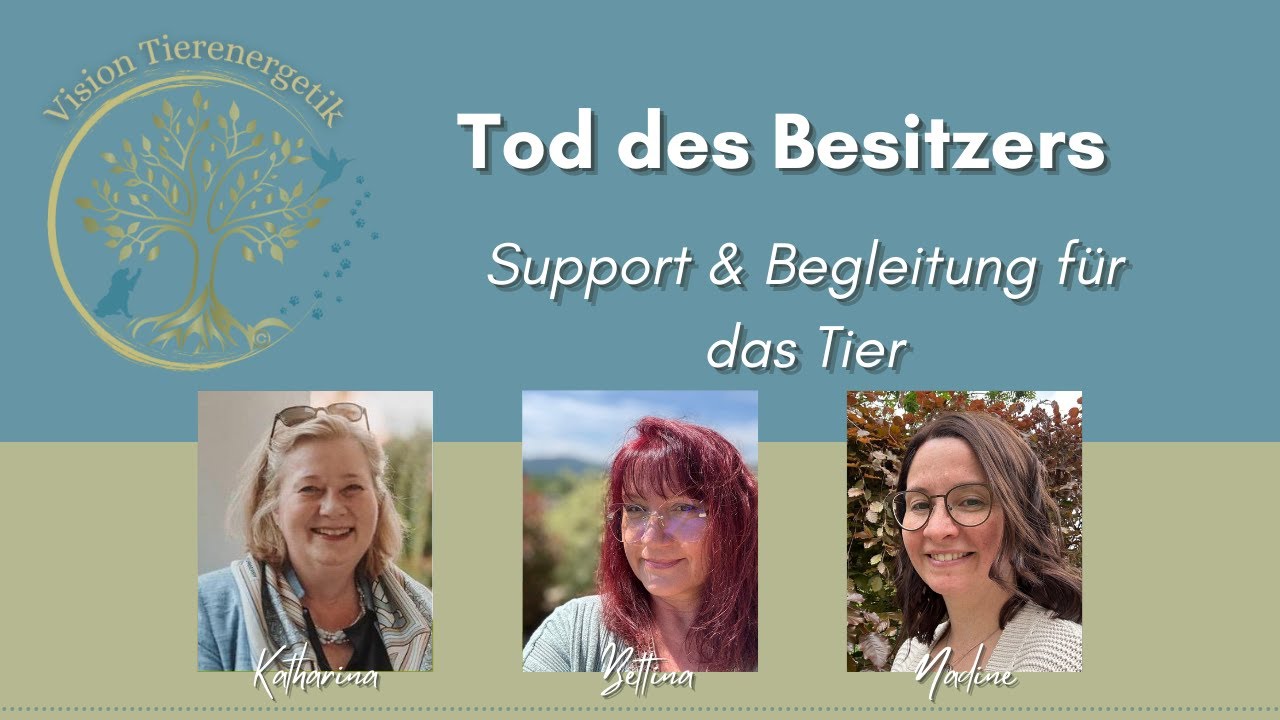 No. 43 Tod des Besitzers - Support & Begleitung