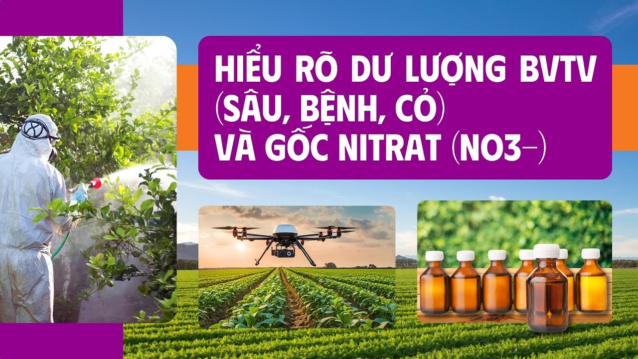 Hiểu R&otilde; Dư Lượng BVTV (S&acirc;u, Bệnh, Cỏ) v&agrave; Gốc Nitrat (NO3-) | Ph&acirc;n B&oacute;n #phufino #phanbonvisinh