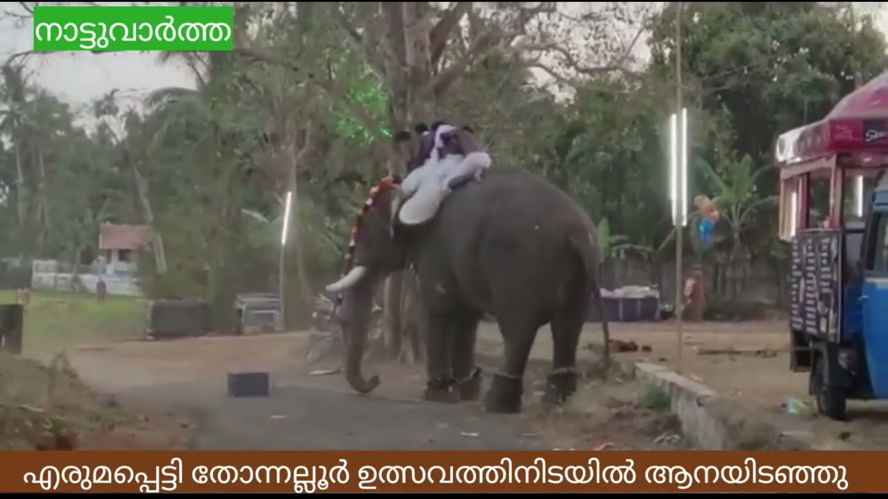 ആന ഇടഞ്ഞു,ആക്രമണത്തിൽ വൻ നാശനഷ്ടം.എരുമപ്പെട്ടി തോന്നല്ലൂർ ഉത്സവത്തിനിടയിലാണ്.Elephant Attack Kerala.