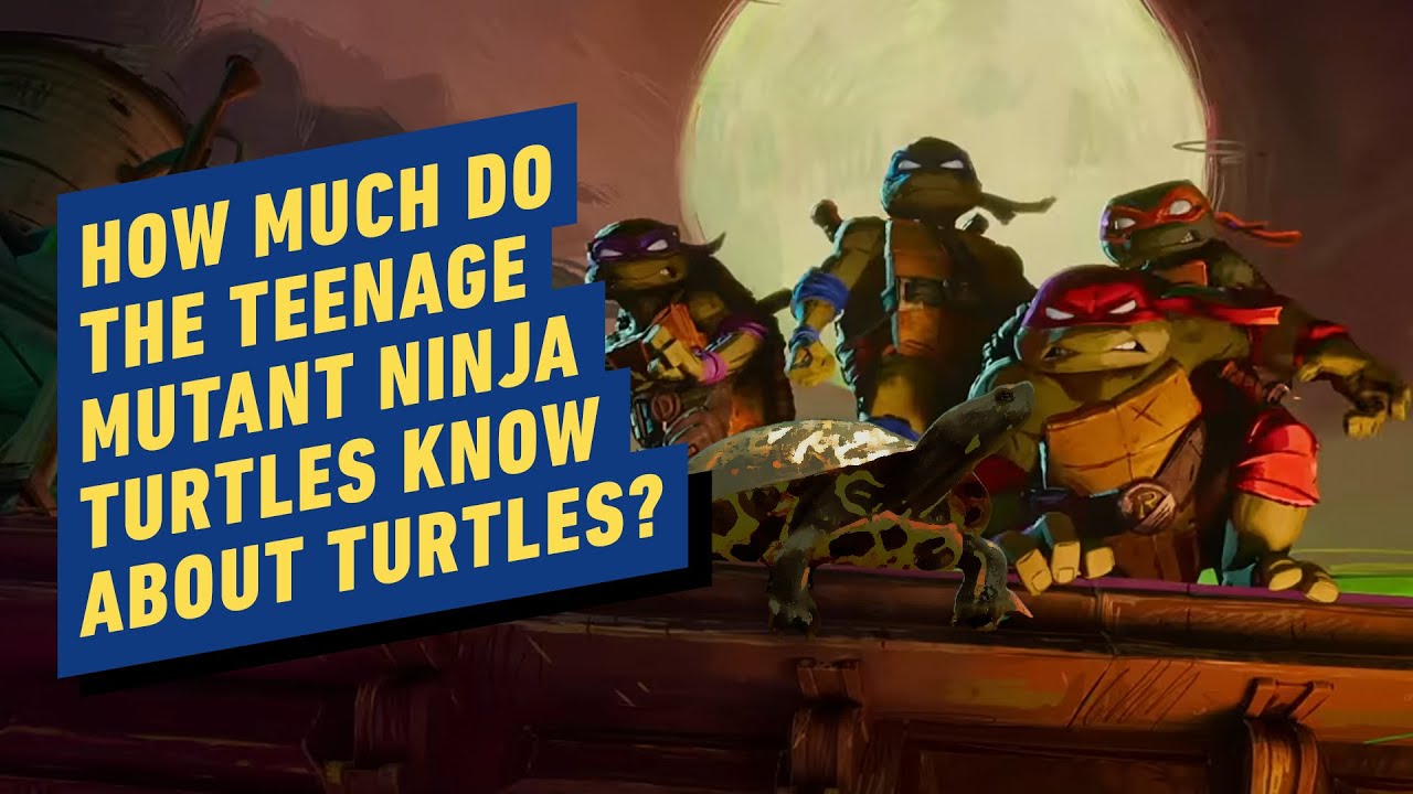 How Much Do the Teenage Mutant Ninja Turtles Know About Turtles?