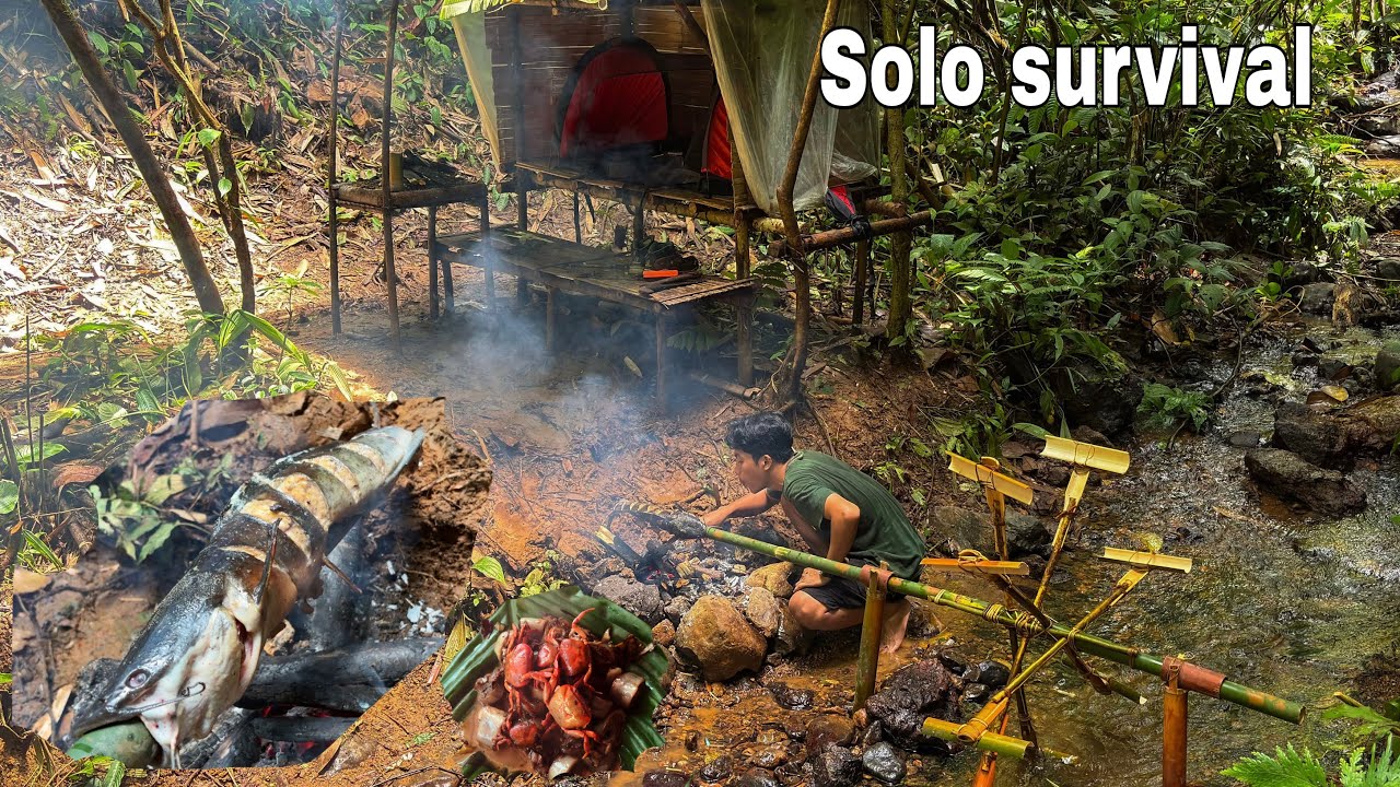 Lanjut bertahan hidup sendirian dalam hutan, merenovasi shelter dan membuat perangkap ikan 🔥⛺️