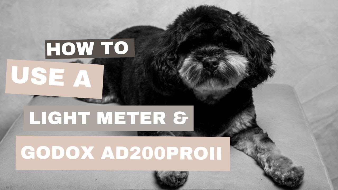 Using the Godox AD200 Pro II and a Light Meter