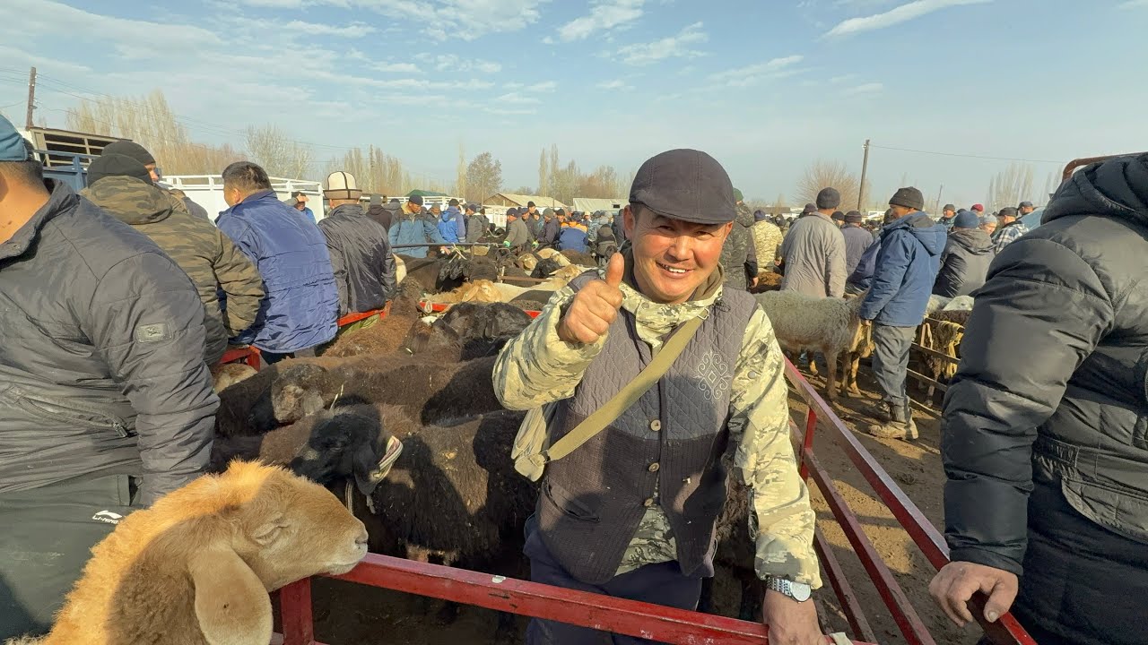 КОЙ БАЗАР КАЙНАДЫ КОЙ ТОЛДУ БАЗАРГА 📲🥱🤯#байтв 