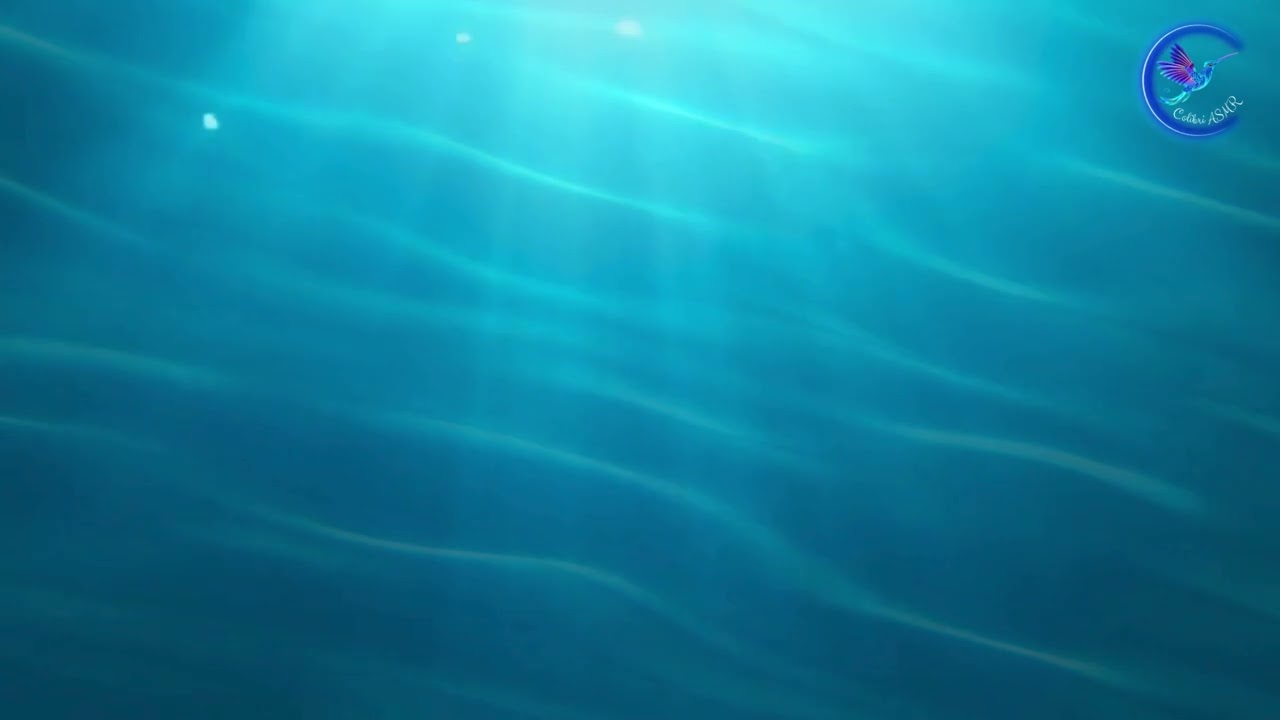 Colibri ASMR - Immersion sous marine + Lecture chuchotée - Relaxation profonde 🌊🫧🌬️