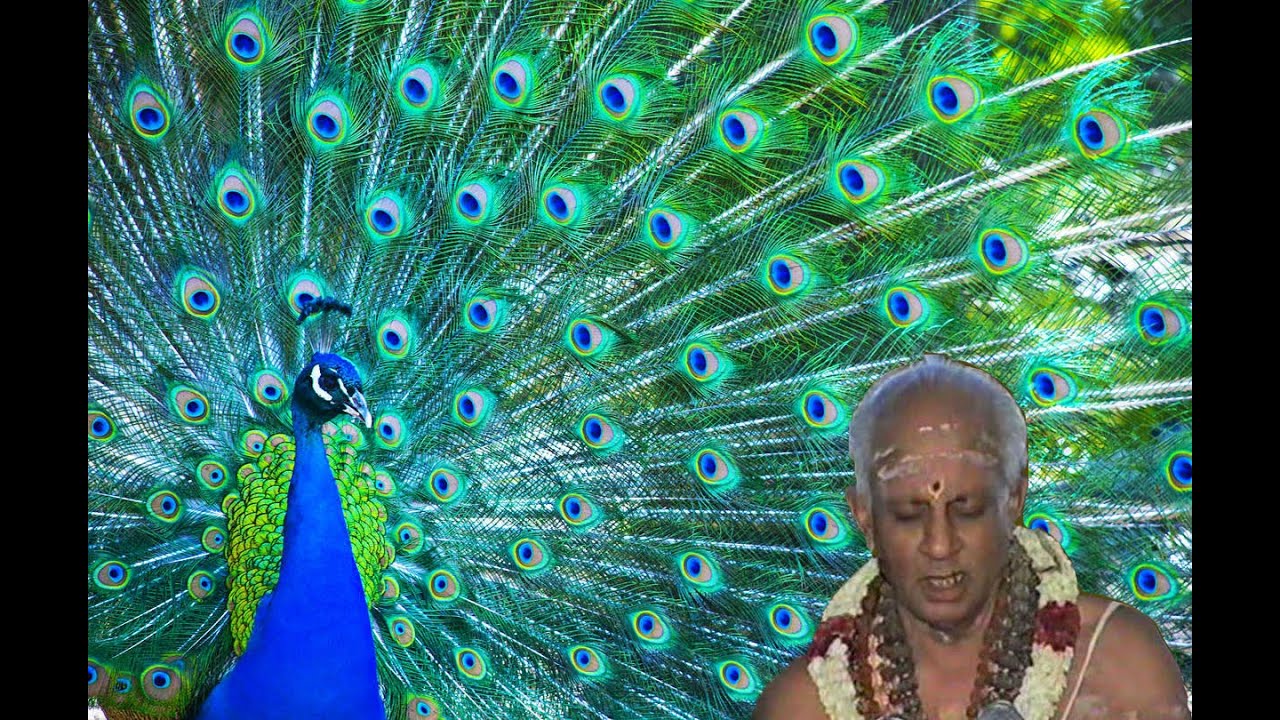Mayil Vaguppu