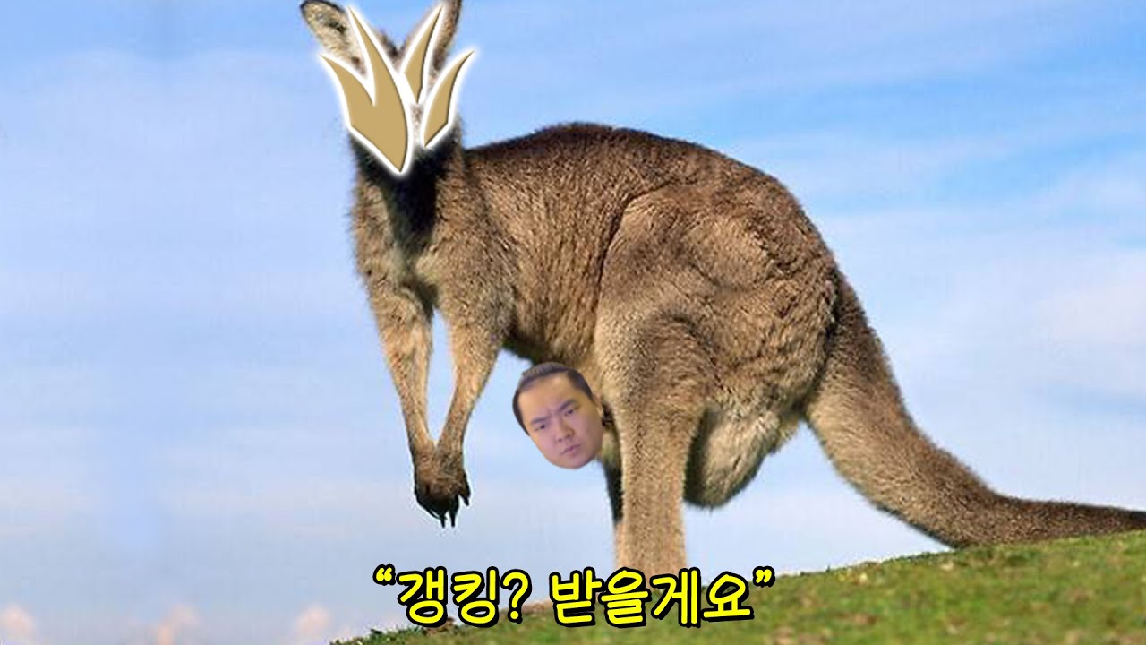 캥거루형 탑솔러
