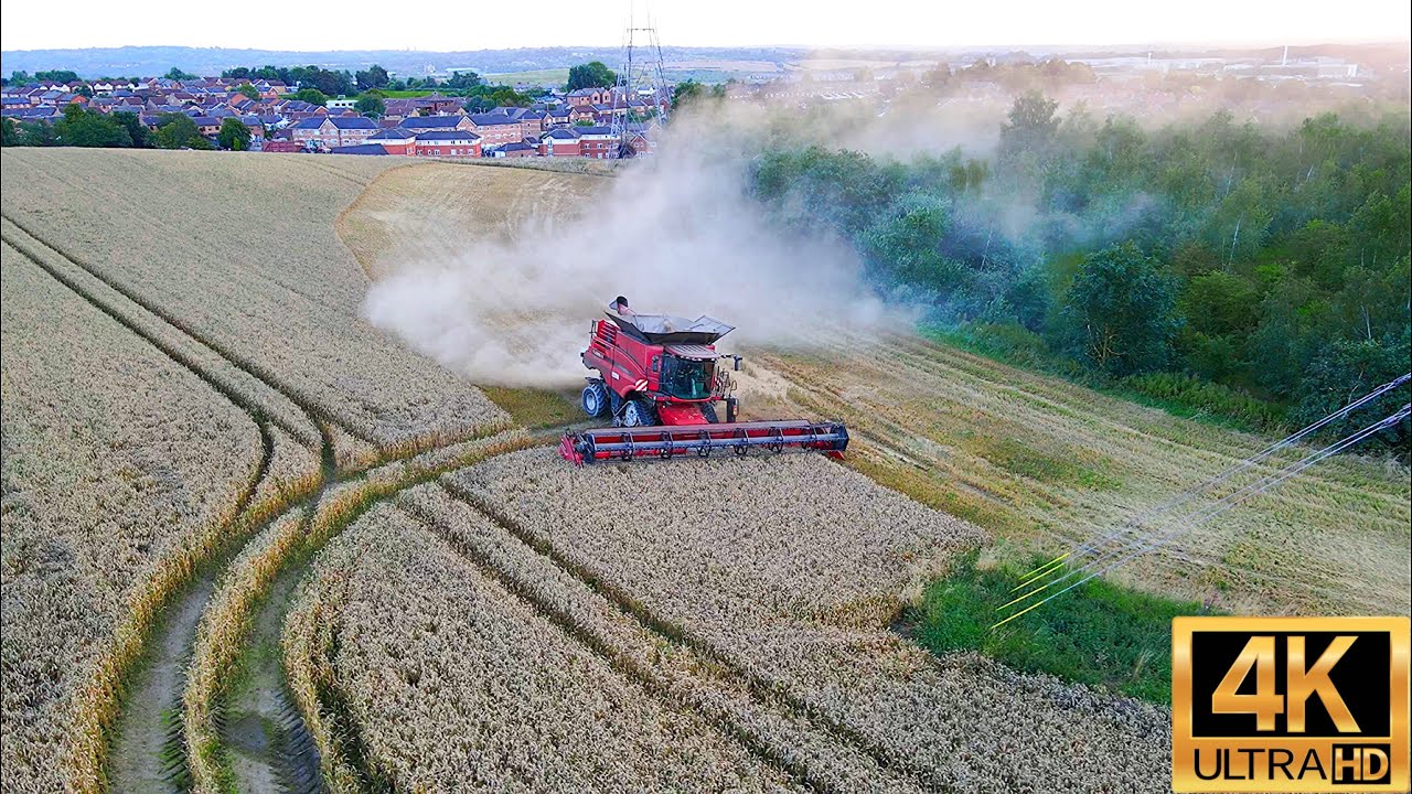 5,000+ Acres of Wheat DESTROYED BY XXL MONSTER CASE CLAAS NEW HOLLAND Harvester Combining