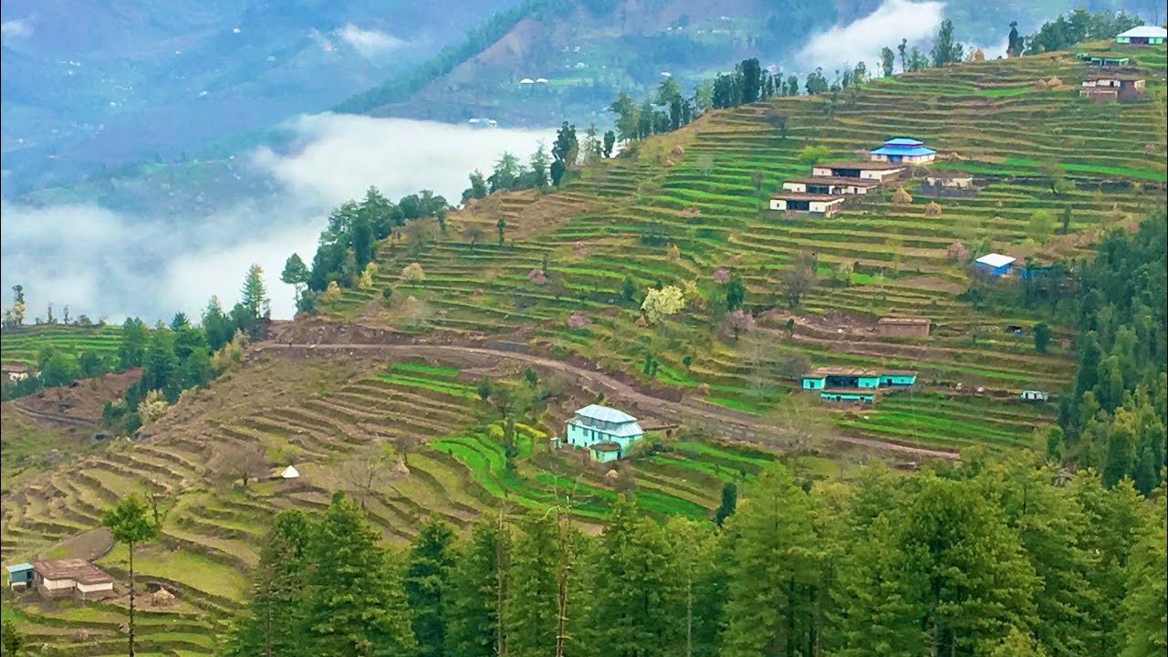 Panchari | The Unexplored Hill station | Vj panchari Ala #shorts