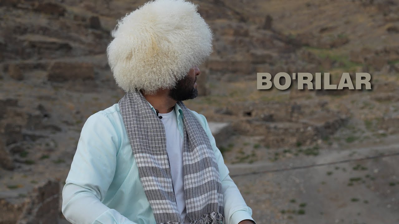 Bo'rilar