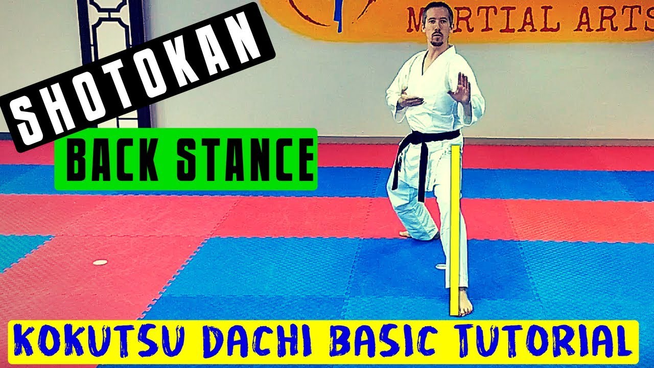 Back Stance / Kokutsu Dachi Tutorial | Shotokan Karate Techniques