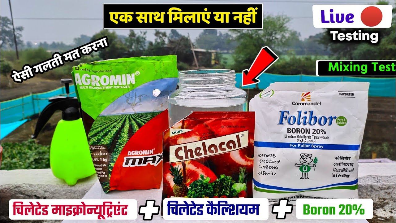 Chelated micronutrient + Boron + chelated Calcium | mixing test Experiment |agriculture technology