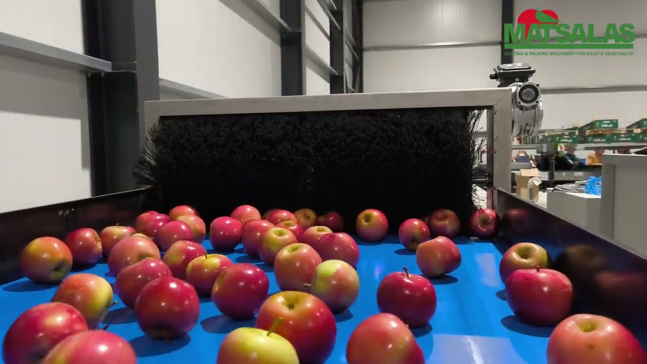 Γραμμή μήλων και αχλαδιών με ηλεκτρονικό ταξινομητή CombiSort της GREEFA 