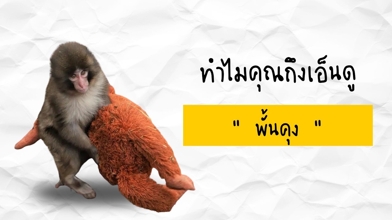 ทำไมคุณรัก “ พั้นคุง ” ....พั้นคุงมีนิสัยอย่างไรบ้างนะ?..
