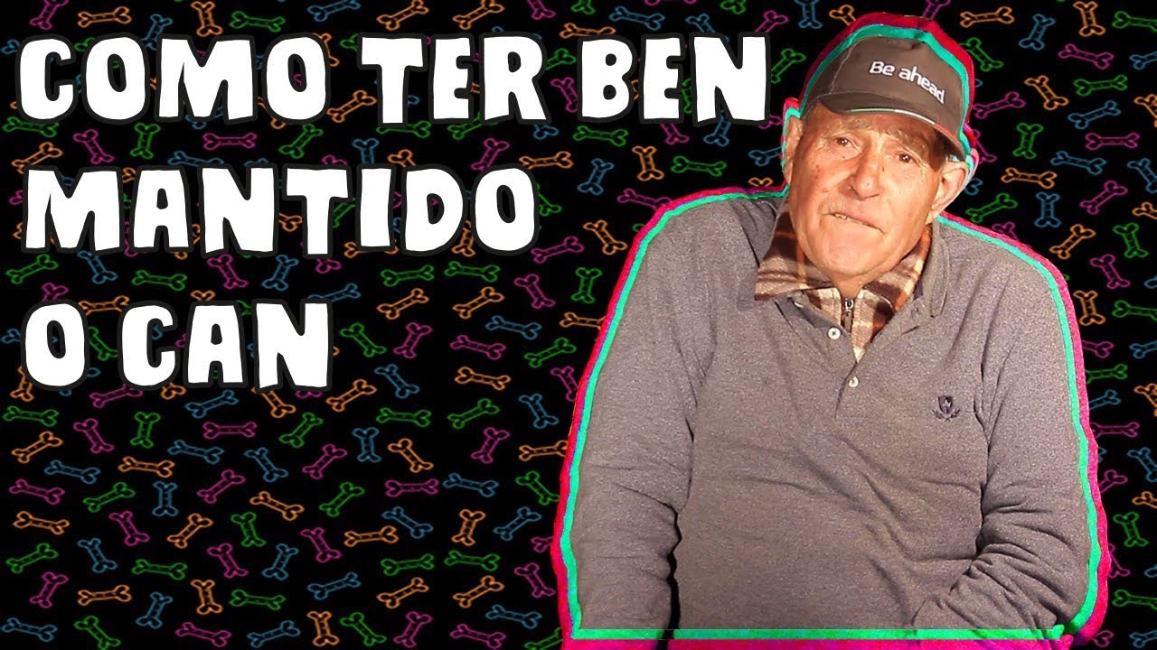Como ter ben mantido o can