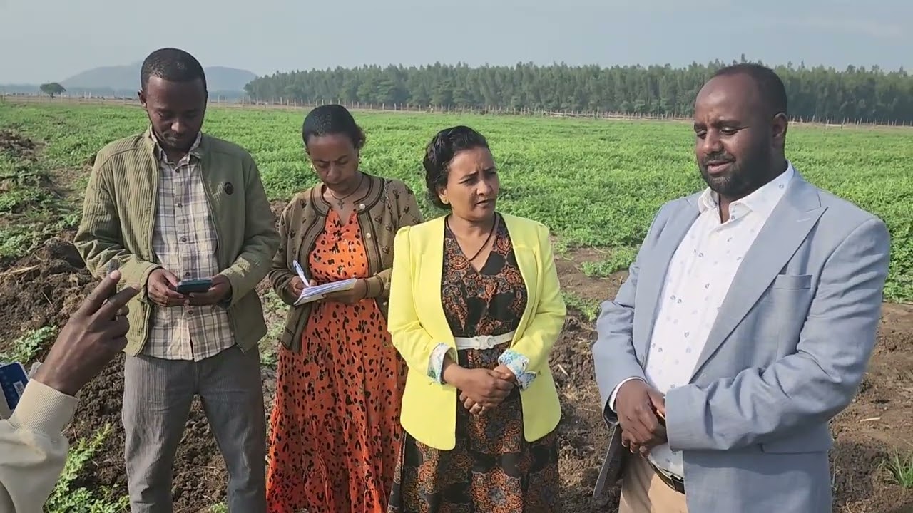 በመሸጋገር በምግብ ራስን ለመቻልና ሰብዓዊ ድጋፍ በራስ አቅም ለመሸፈን በከሚሴ ከተማ አስተዳደር በ02 ቀበሌ እየለማ ያለ የሃብ ሃብ ልማት