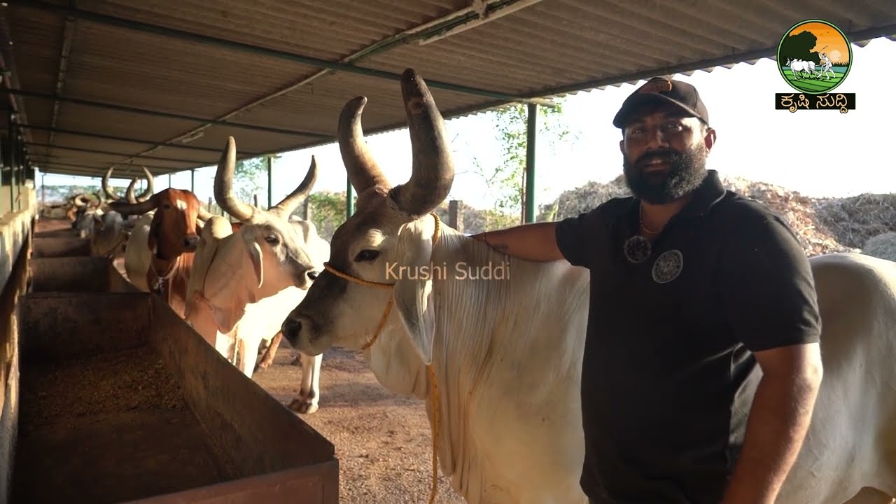 ಕಾಂಕ್ರೆಜ್ ಹಾಲು ಮತ್ತೆ ತುಪ್ಪದ ಬೆಲೆ ಎಷ್ಟು ಗೊತ್ತಾ.? ಇದರ ಬಗ್ಗೆ ಕಂಪ್ಲೀಟ್ ಮಾಹಿತಿ ಇಲ್ಲಿದೆ I hebbevu farm
