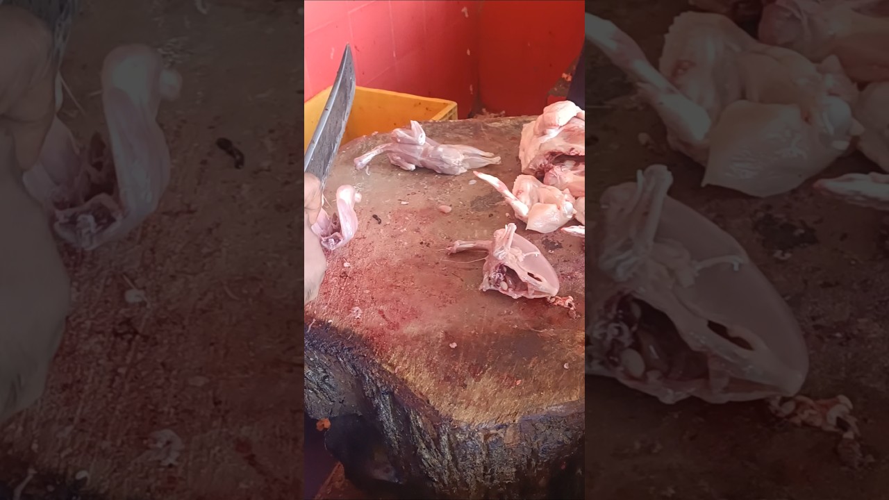 quails cutting #youtube #youtuber #youtubeshorts #ytshorts #viralshorts ###