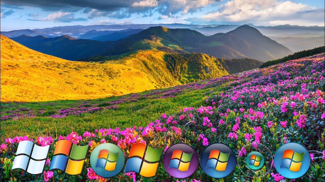 Windows Animation | Cheese Burger 🍔 Windows Vista in MacOS | PR. Vista in MacOS | Windows Vista