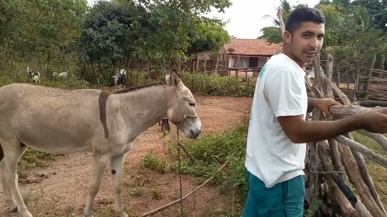 NÃO TAVA QUEREDO PASSAR NA POSTEIRA 