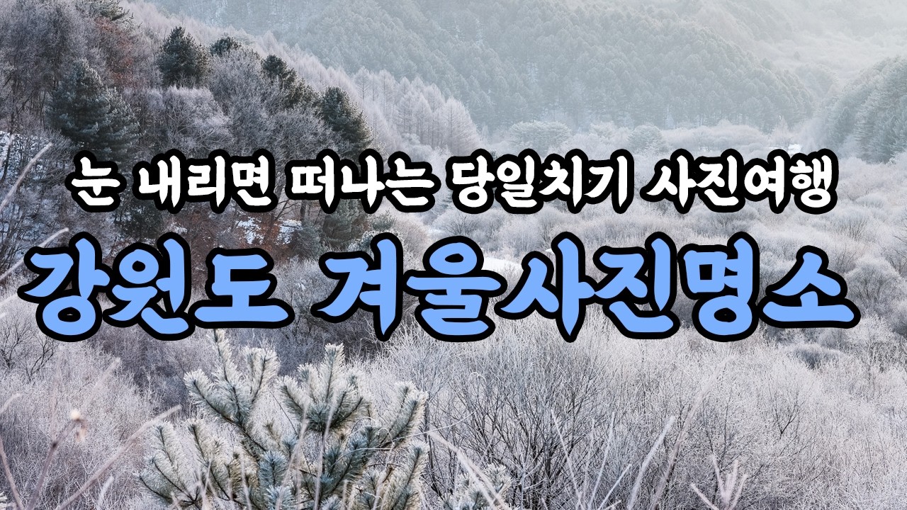 눈이 내리면 당일치기로 다녀오기 좋은 강원도 겨울 사진 명소 6곳!