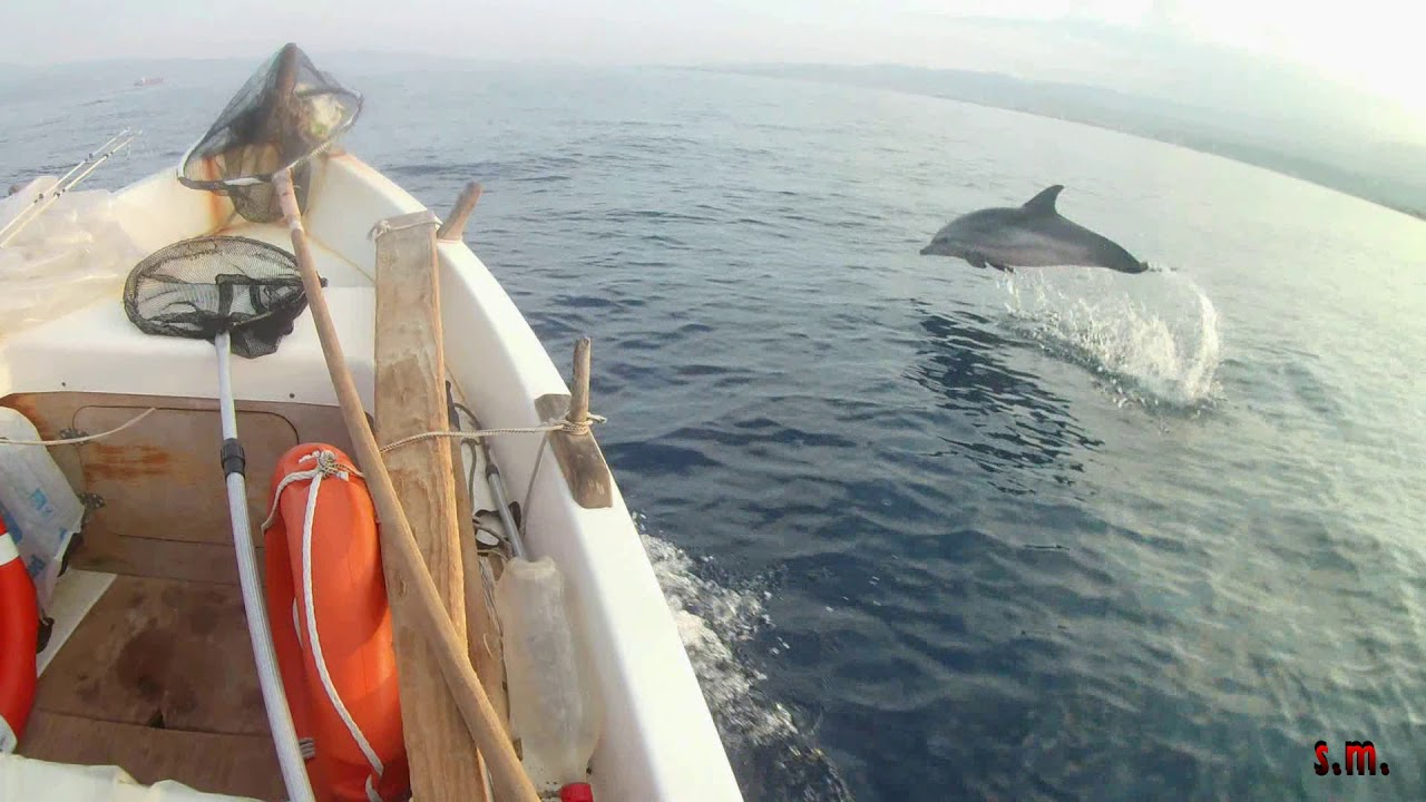 Pesca traina Punta Pellaro Reggio di CalabriaTrolling Punta Pellaro Reggio Calabria