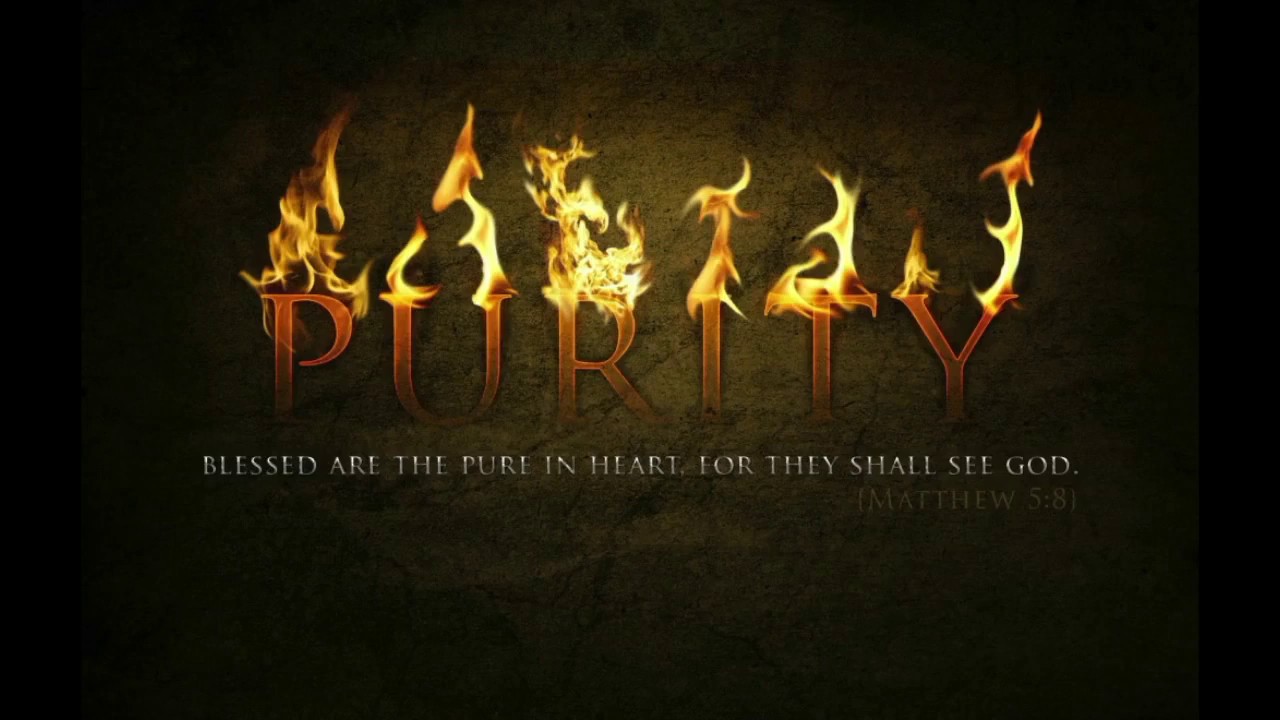 Purity 1 John 3