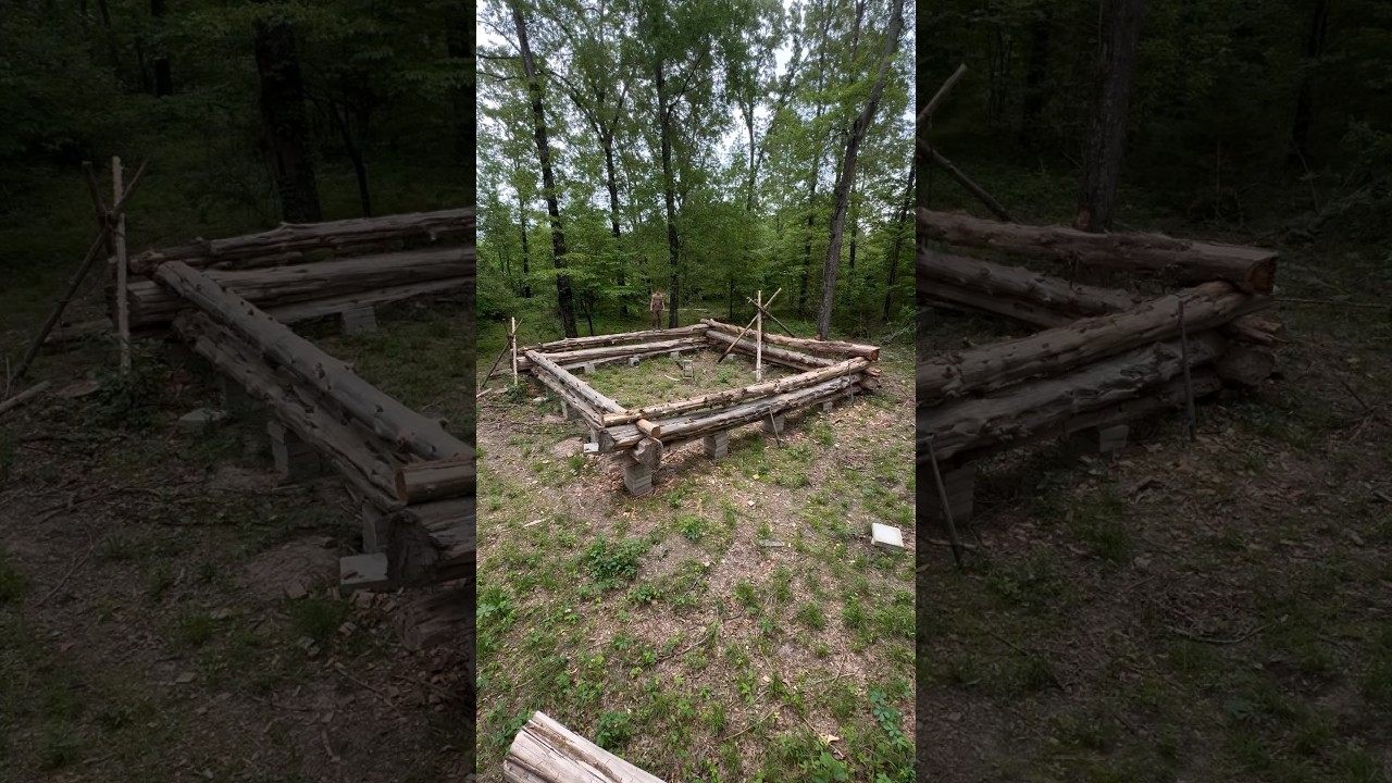 Building a Massive Log Cabin by Hand 3 MONTH IN #logcabin #cabin #bushcraft #outdoors #survival